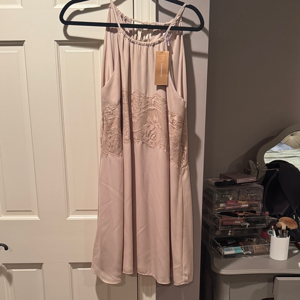 Francesca's Collections Blush Lace Mini Dress